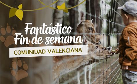 escapada con nios comunidad valenciana|12 lugares de la Comunidad Valenciana para escaparse con。